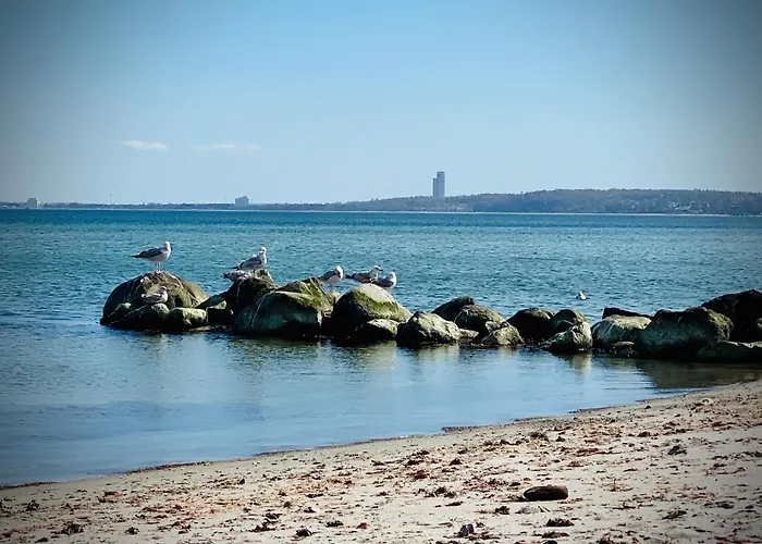 Fewo Sonnendeck Familien-Strandnah-Garten-Hunde-Sport-Und Schwimmbadnah-Hansapark
